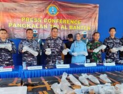 TNI AL Gagalkan Penyelundupan Lobster di Merak