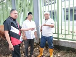 Wali Kota Bekasi Beri Sapi Kurban untuk Atlet dan Warga