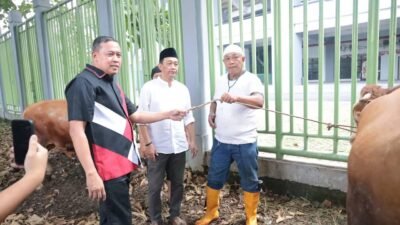 Wali Kota Bekasi Beri Sapi Kurban untuk Atlet dan Warga