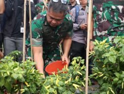 Kasad: Agroforestry Dorong Kesejahteraan Petani dan Ketahanan Pangan Nasional