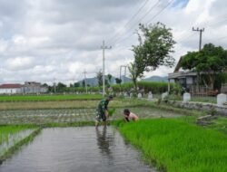 Serka Sugianto,  Babinsa Wonorejo yang Terus Hadir untuk Petani