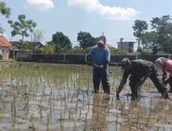 Kodim Probolinggo Kampanyekan Gerakan Antisipasi Darurat Pangan Nasional