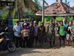 TNI, PPL dan Petani Bersatu Perangi Wereng demi Pangan Rakyat di Trenggalek