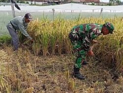 Kodim Probolinggo Pastikan Ketersediaan Pangan Cukup dan Terjangkau