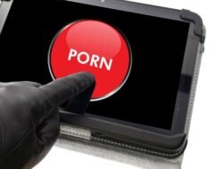 Aktor MR Ditangkap Karena Pemerasan Bermotif Video Porno