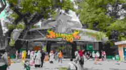 Bandung zoo