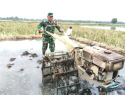 Kodim Probolinggo Melalui Koramil Jajaran Melakukan Pendampingan ke Petani Binaan