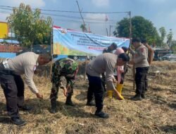 Manfaatkan Lahan Tidur, Polsek Gedangan Gelar Tanam Jagung Serentak