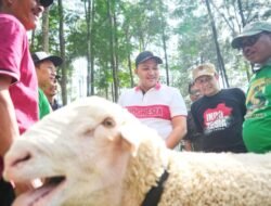 Bupati Pasuruan Apresiasi Festival Domba Kelas Terbuka HPDKI