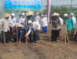 Forkopimka Krian Tanam Jagung Bersama Santri di Pondok Pesantren Darul Falah