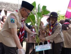 Wujudkan Ketahanan Pangan Di Kabupaten Pasuruan, Ini Yang Dilakukan Ketua Kwarcab Gerakan Pramuka
