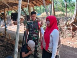 TNI Hadir untuk Rakyat: Babinsa Kuripan Dampingi Posyandu Sambut HUT ke-80 RI