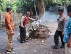 Polsek Balongbendo Tindaklanjuti Aduan Warga, Datangi Arena Judi Sabung Ayam di Seketi