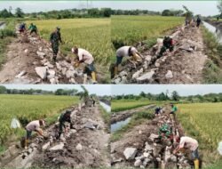 Pastikan Kelancaran Distribusi Air ke Lahan Pertanian, Babinsa bersama Warga Perbaiki Saluran Irigasi