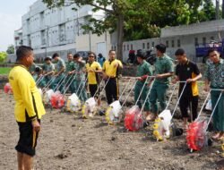 Dukung Ketahanan Pangan, Polresta Sidoarjo Bersama Santri Bumi Sholawat Tanam Jagung