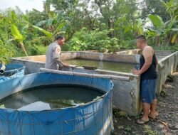 Polsek Tulangan Dukung Program Ketahanan Pangan Melalui Peternakan Ikan Lele