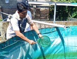 Lapas Kediri Tebar 2.000 Bibit Lele untuk Ketahanan Pangan