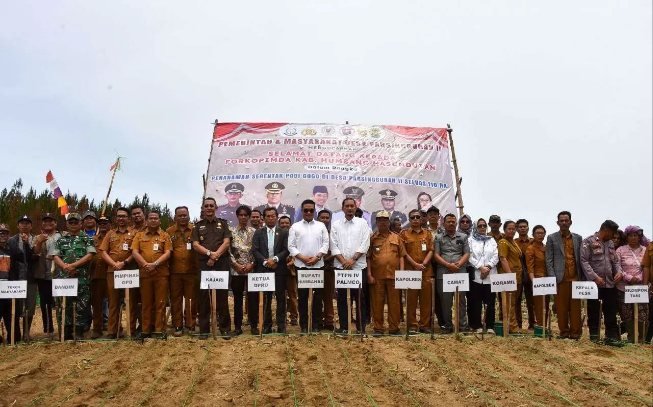 HUT RI, PTPN IV PalmCo Bantu Bibit Padi Gogo 110 Hektar