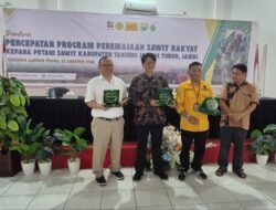 PTPN IV PalmCo Percepat Peremajaan Sawit Rakyat di Jambi