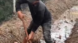 Warga Sukadana Ilir Resah Banjir, Pemuda Kompak Gelar Gotong Royong