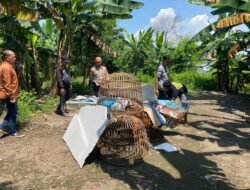 Dapatkan Laporan Masyarakat, Polsek Sedati Datangi Tempat Perjudian Sabung Ayam