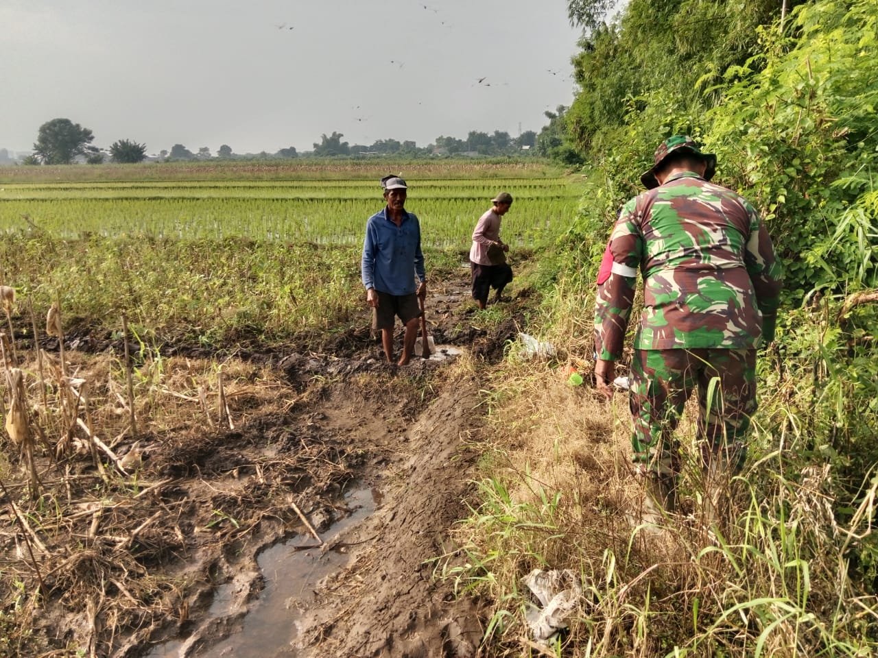 Koramil 0820/07 Wonomerto kembali mempelopori pelaksanaan kegiatan bersama masyarakat Desa Wonorejo, Kecamatan Wonomerto, Kabupaten Probolinggo