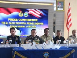 Selamatkan Laut, TNI AL Amankan 85.000 Benih Lobster Senilai Rp731 Juta