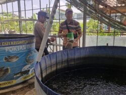 Bhabinkamtibmas Desa Kebonagung Polsek Sukodono, Cek Perkembangan Budidaya Ikan Lele Warga di Lahan Kosong