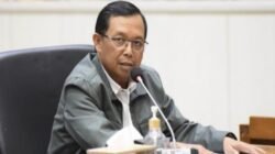 Ketahanan pangan Nasional