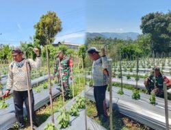 Kemanunggalan TNI dengan Rakyat dalam Menjaga Ketahanan Pangan di Wilayah