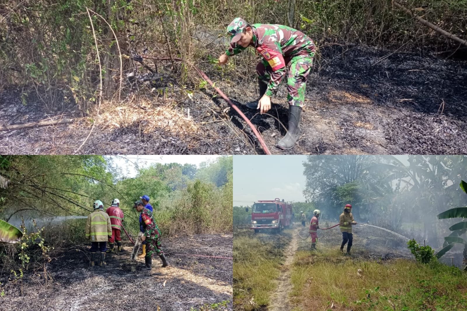 pemadaman kebakaran lahan milik Kepala Desa Kurung, Bapak Musafak, di wilayah Kecamatan Kejayan, Kabupaten Pasuruan