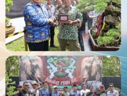 Kontes Bonsai Nasional Dibuka Wakil Bupati