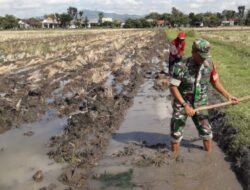 Perkuat Ketahanan Pangan, Serma Muyoto Bantu Petani Benahi Pematang Sawah