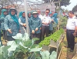 Wiwiek Hargono Ajak Kader Lebih Inovatif Lewat Lomba Kreasi