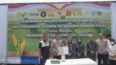 Polresta Sidoarjo Gelar Tanam Jagung Serentak Kuartal IV