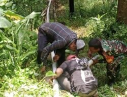 Kemanunggalan TNI Dengan Rakyat, Babinsa Bersama Warga Gotong Royong Benahi Saluran Air Bersih