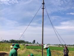 Kendalikan Hama, Koramil Pajarakan Bantu Petani Buat Rumah Burung Hantu