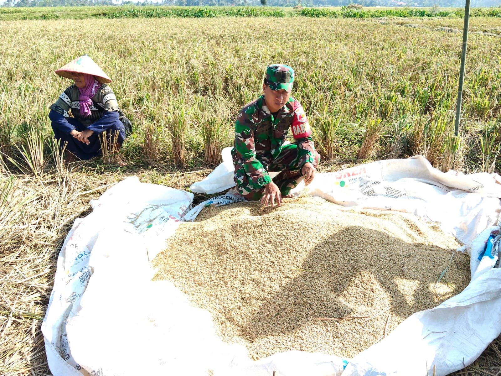 Serka Fantri Ages M., yang turun langsung mendampingi warga melaksanakan panen padi di lahan milik Bapak Wahyu seluas sekitar 1.200 meter persegi di Dusun Krajan