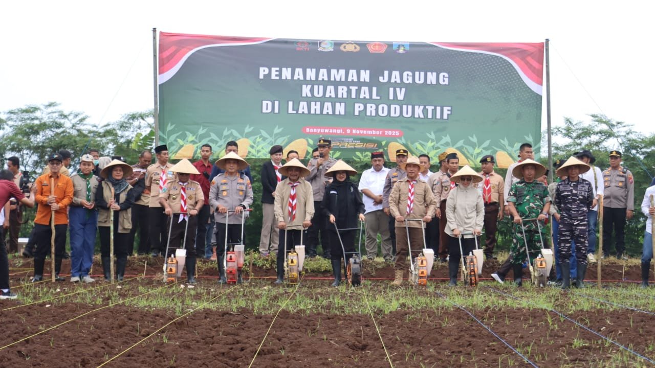 penanaman jagung Kuartal IV Tahun 2025. Penanaman jagung dilaksanakan di lahan produktif Green Farm seluas 50 hektare di Desa Karangsari,