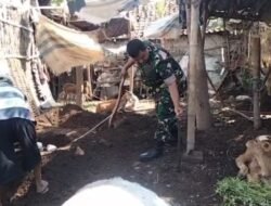 Wujudkan Lingkungan Bersih dan Sehat, Babinsa Nguling Bantu Warga Bangun Jamban