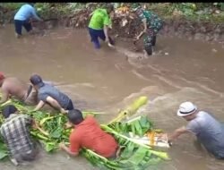 Koramil Dringu Gelar Aksi Sosial Normalisasi Sungai, Perkuat Sinergi TNI dan Masyarakat