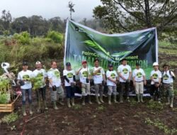 PTPN IV PalmCo Intensifkan Penanaman Pohon di 12 Provinsi untuk Cegah Degradasi Lingkungan