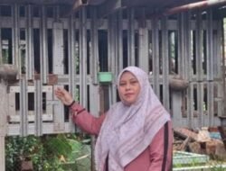 Peternakan Rakyat Jadi Penggerak Ekonomi Desa, Qomafi Farm Dorong Inovasi dari Tingkat Tapak