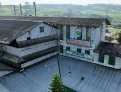 PalmCo dan Warisan Perkebunan Tua Indonesia yang Masih Hidup hingga Kini