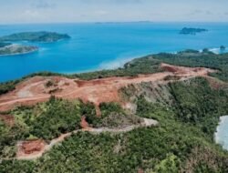 Tinjauan Peran Negara dalam Perlindungan Lingkungan: Tinjauan Pelanggaran IUP