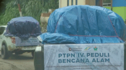 PTPN IV PalmCo Salurkan Bantuan Gelombang Kedua untuk Korban Banjir di Lima Puluh Kota