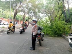 Sinergi Polsek Buduran dan DLHK Sidoarjo Atasi Pohon Tumbang di Depan Museum Mpu Tantular