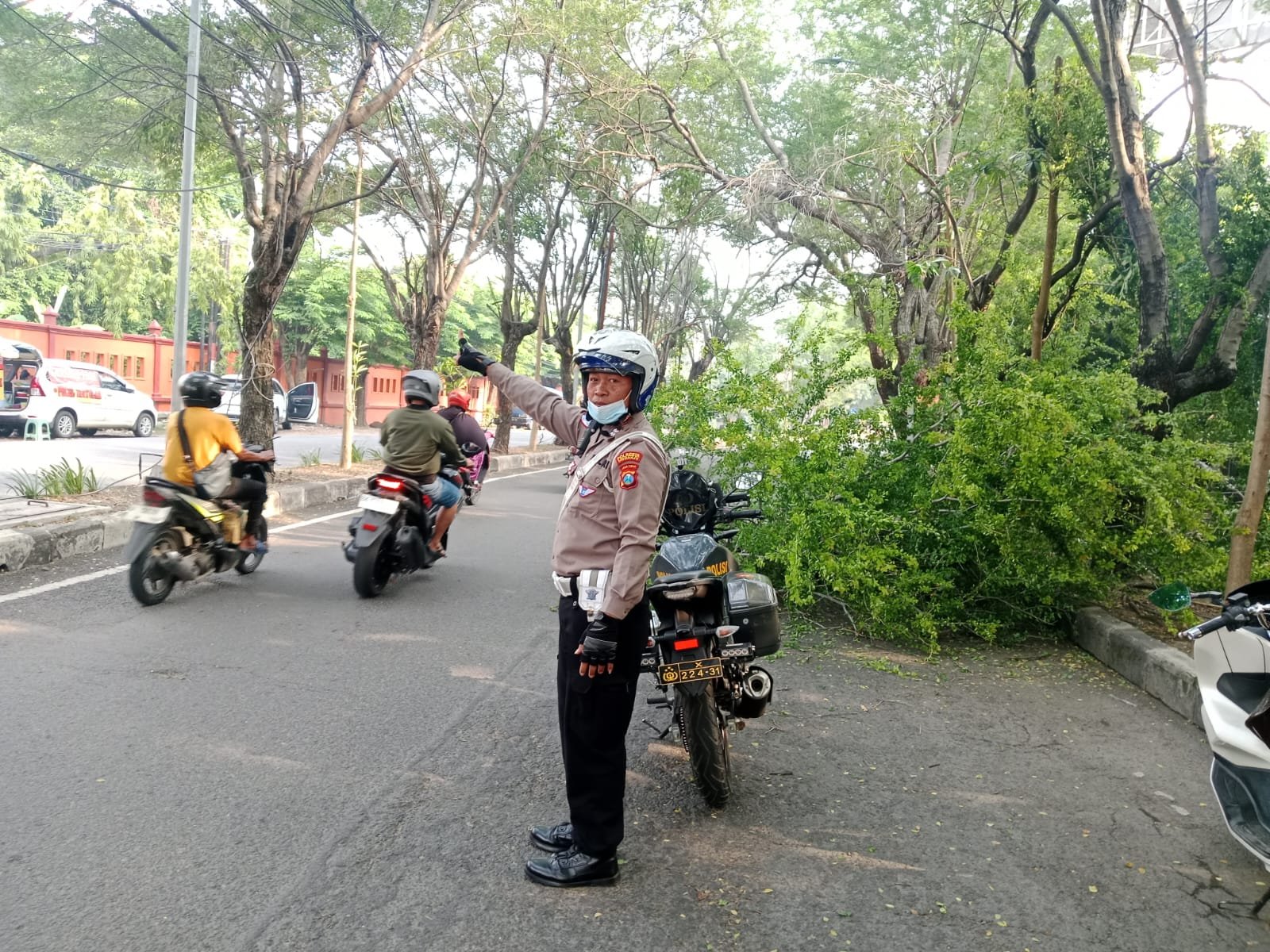 Sinergi Polsek Buduran dan DLHK Sidoarjo Atasi Pohon Tumbang