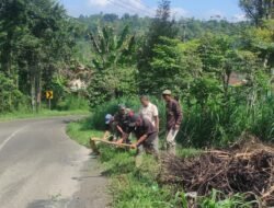 Peduli Keselamatan Pengguna Jalan, Babinsa Sumberpitu Bersama Warga Bersihkan Rumput Liar