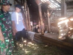 Sertu Suyanto Beri Motivasi Peternak Sapi Tingkatkan Kualitas Ternak